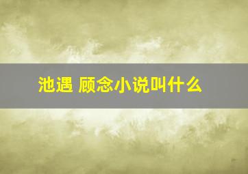 池遇 顾念小说叫什么